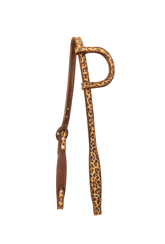 HSE 910