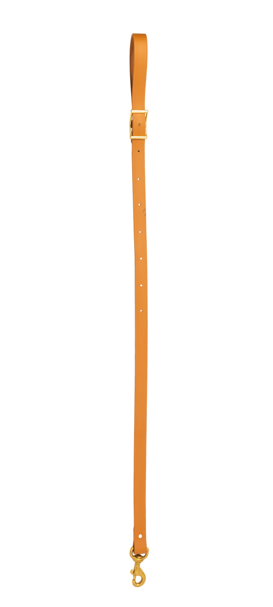 TD 100